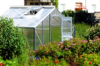 6 Natural Ways To Make An Unheated Greenhouse Warm