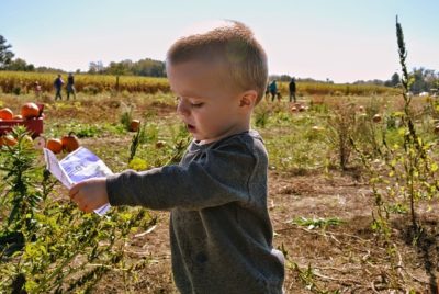 How The 'Farm Effect' Keeps Kids From Getting Sick 