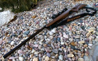 The 5 Best Air Rifles For Off-Grid Survival