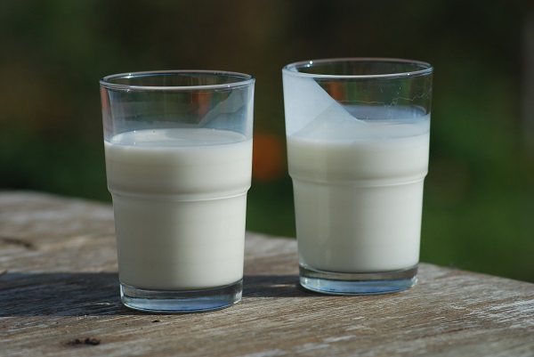 Showdown: Sheriff Blocks FDA Inspectors From Raw Milk Farm