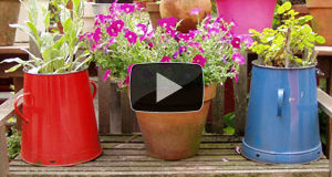 Top 5 Tips For High-Yield Container Gardening