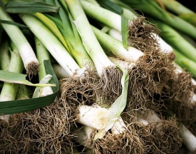 5 Frost-Resistant Vegetables You Can Plant Super Early