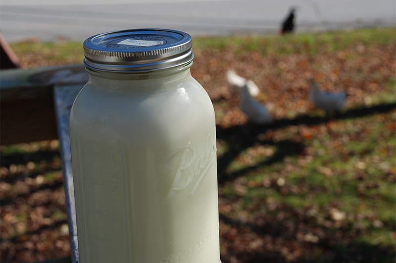 BREAKING: New Study Confirms Raw Milk Can Prevent This Major Ailment -- But That's Not All