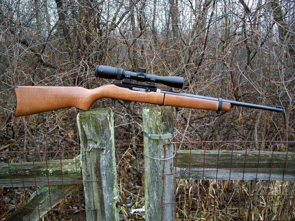 The 5 Very Best Rifles For Rural Home Defense