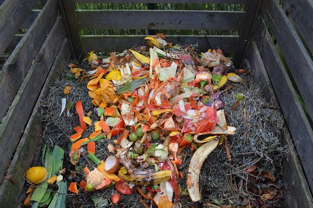 18 Things You Should Never (Ever) Compost