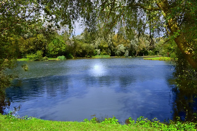 Here’s What You BETTER Know Before You Build Your First Pond
