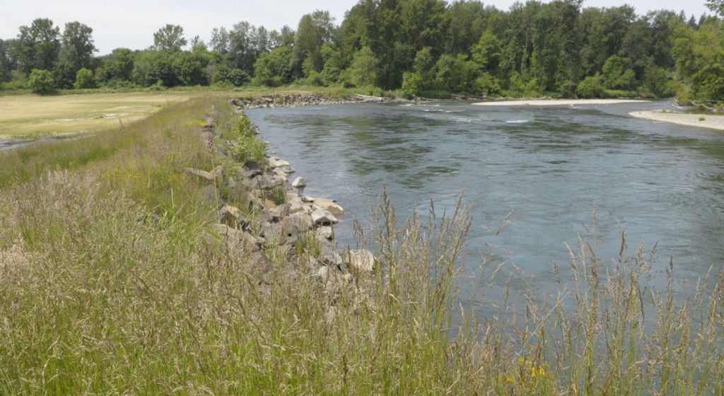 EPA Threatens Farmer With $37,500-A-Day Fine For Building Flood-Control Dike