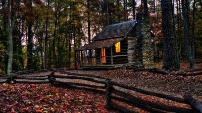 6 Reasons To Start Homesteading This Year (No. 3 Could Save America -- If Everyone Did It) 