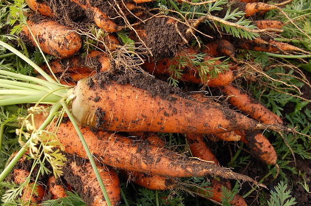 17 Vegetables Guaranteed To Grow In Acidic Soil
