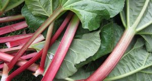 How To Grow Rhubarb, The Perennial Vegetable You Plant Once And Enjoy For Years