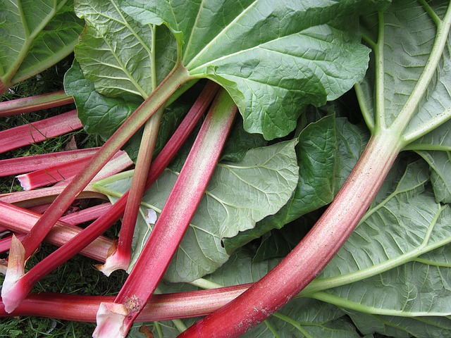 How To Grow Rhubarb, The Perennial Vegetable You Only Plant Once
