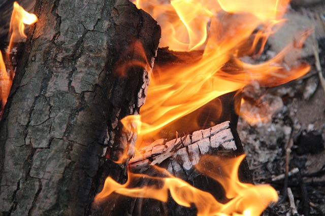3 Natural Materials For Starting A Fire in a Pinch (The Pioneers Used No. 1)