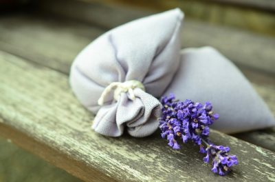 Lavender: The Off-Grid Way To Fight Anxiety, Heal Wounds And Sleep Better, Too