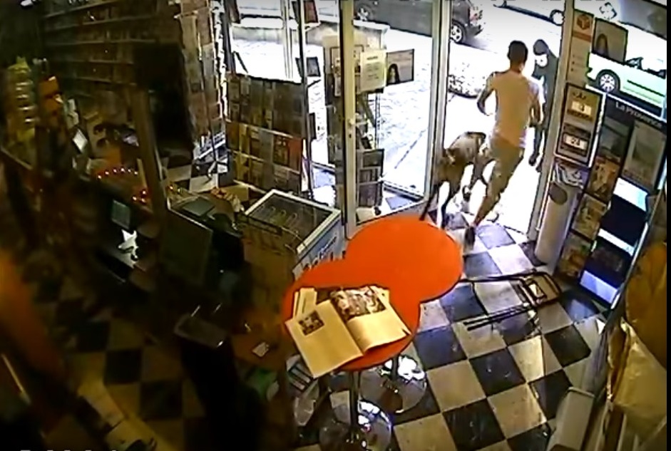 VIDEO: An Armed Robber Entered A Store. Then A Guard Dog Attacked ...