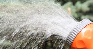 Watering Your Garden Wisely: Keep Your Garden Hydrated This Summer