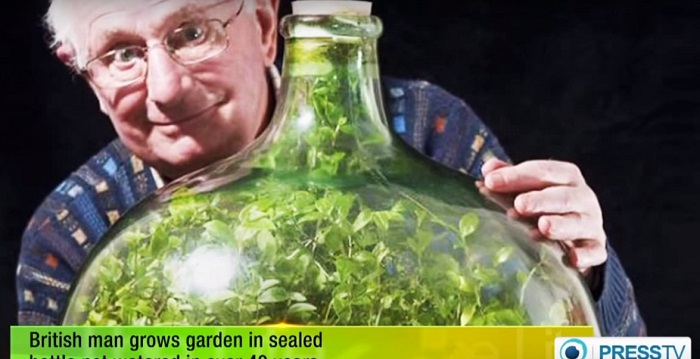 It's Been 44 Years Since He Watered This 'Garden In A Bottle' -- And It's STILL Growing
