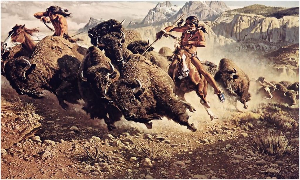 How Native People Used Every Part Of An Animal for Survival