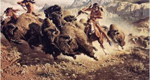 How Native People Used Every Part Of An Animal for Survival