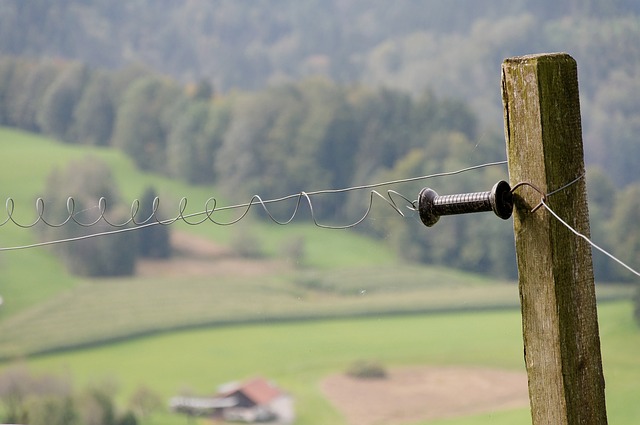 Why You Should (And Shouldn’t) Get An Electric Fence