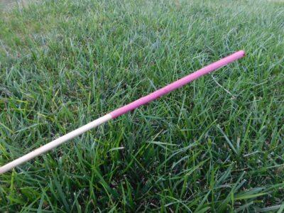 The chokecherry makes a very useful natural dye.