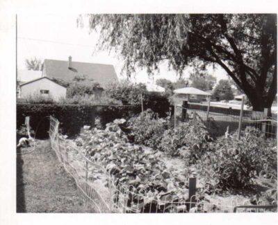 Landrace Gardening: The Forgotten (And Better Way) Your Ancestors Grew Vegetables