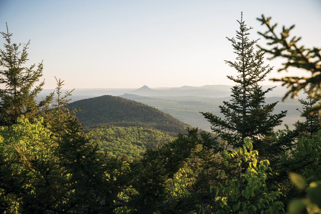 Mainers Didn't Want A 87,500-Acre National Monument, But Obama Created One Anyway