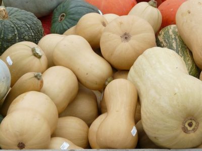 Squash 101: Tricks To Help Your Harvest Last Months
