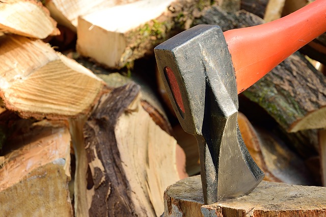 The 12 Very Best Trees To Cut For Off-Grid Wood Heat