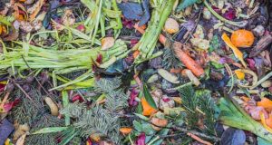 Composting 101: Essential Fall Chores Every Homesteader Should Do