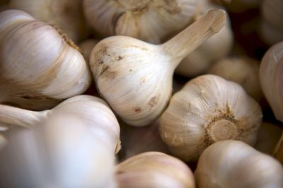 Garlic Planting Secrets Of Fall Gardeners