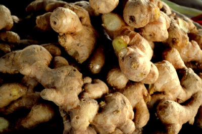 How To Grow (And Harvest) Ginger Indoors ... Without Killing It