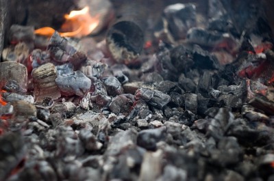 11 Crazy-But-Practical Uses For Wood Ash (Got Pets? Try No. 5)