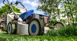 Here’s Why You Should Have Less Lawn (And More Garden) This Year