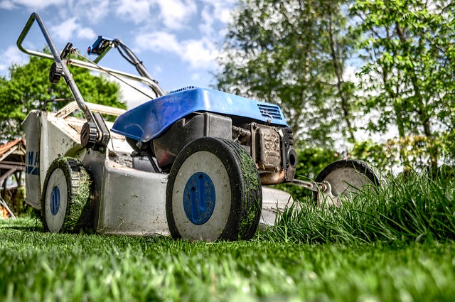 Here’s Why You Should Have Less Lawn (And More Garden) This Year