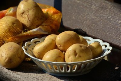 The Best Way To Grow Indoor Potatoes Is In A ... Garbage Bag?
