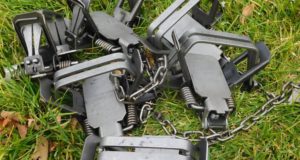 3 Simple Trapping Skills That Every Survivalist Should Know
