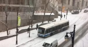 VIDEO: A Major City Just Got Its First Snowfall, And People Forgot How To Drive In It