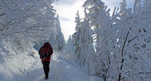 5 Winter Survival Skills That Will Keep You Warm, Dry, And Alive