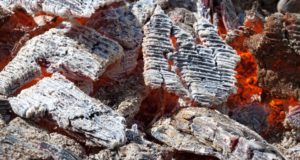 11 Crazy-But-Practical Uses For Wood Ash (Got Pets? Try No. 5)
