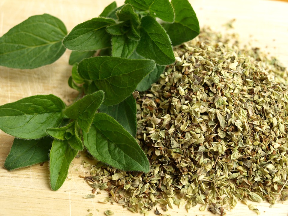 5 Simple Steps To Make Your Own Oil Of Oregano