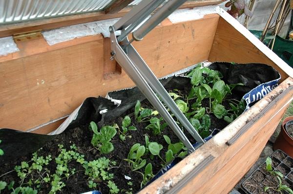 Cold Frames: The Easiest Way To Get A Jump On The Growing Season