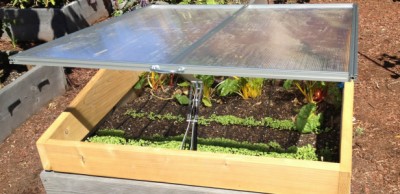 Cold Frames: The Easiest Way To Get A Jump On The Growing Season