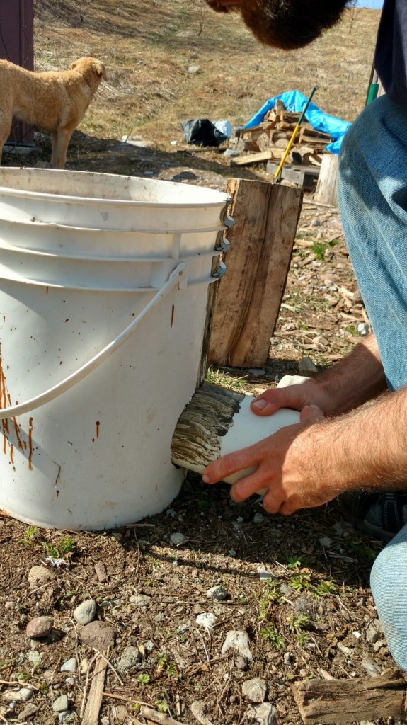 DIY: A $10 Indestructible Off-Grid Rocket Stove