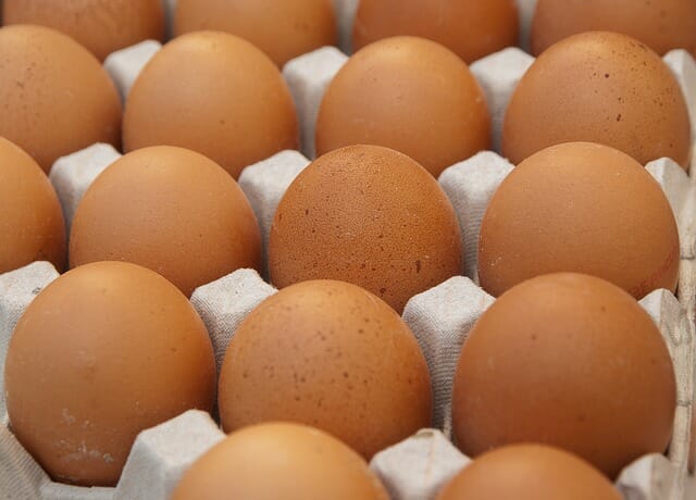 Just About Everything You’ve Heard About Eggs Is Wrong