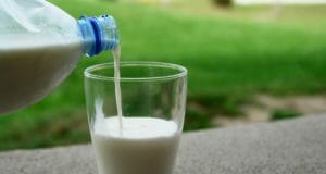 Raw Milk Is Poison — Legislators Claim While Maintaining Ban