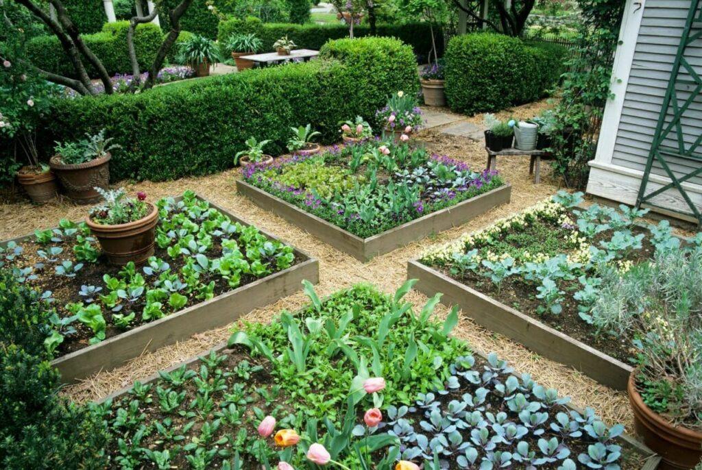 5 Low-Cost, Creative Ways To Build A Raised Bed Garden