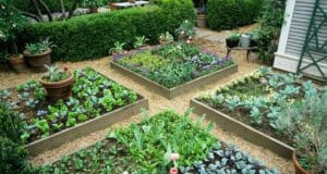 5 Low-Cost, Creative Ways To Build A Raised Bed Garden