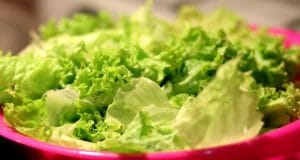Lettuce Has … No Nutrition? Perhaps, If You Eat The Wrong Kind