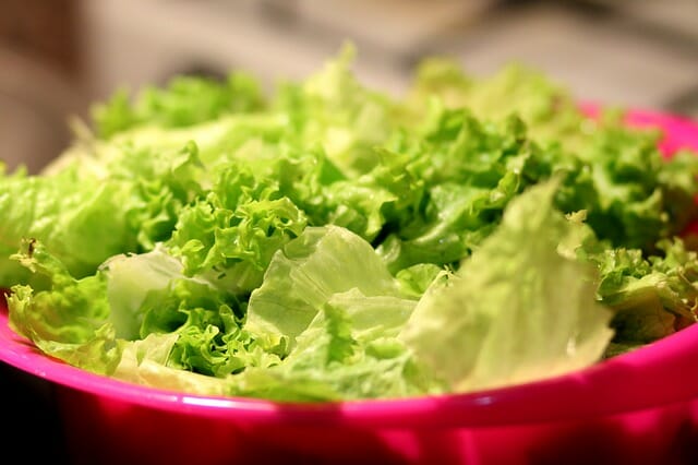 Lettuce Is … Void Of Nutrition? Perhaps, If You Eat The Wrong Kind