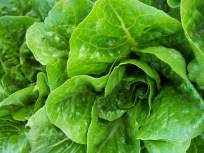 Lettuce Has ... No Nutrition? Perhaps, If You Eat The Wrong Kind 